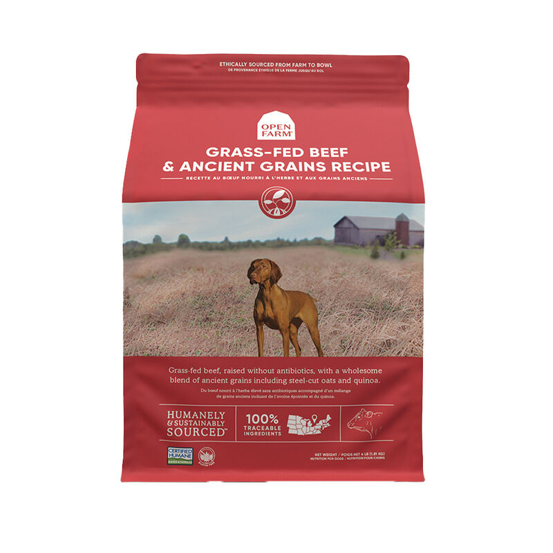 Open Farm, Grass-Fed Beef & Ancient Grains Adult Dog Dry Food - Dry Dog Food image number null