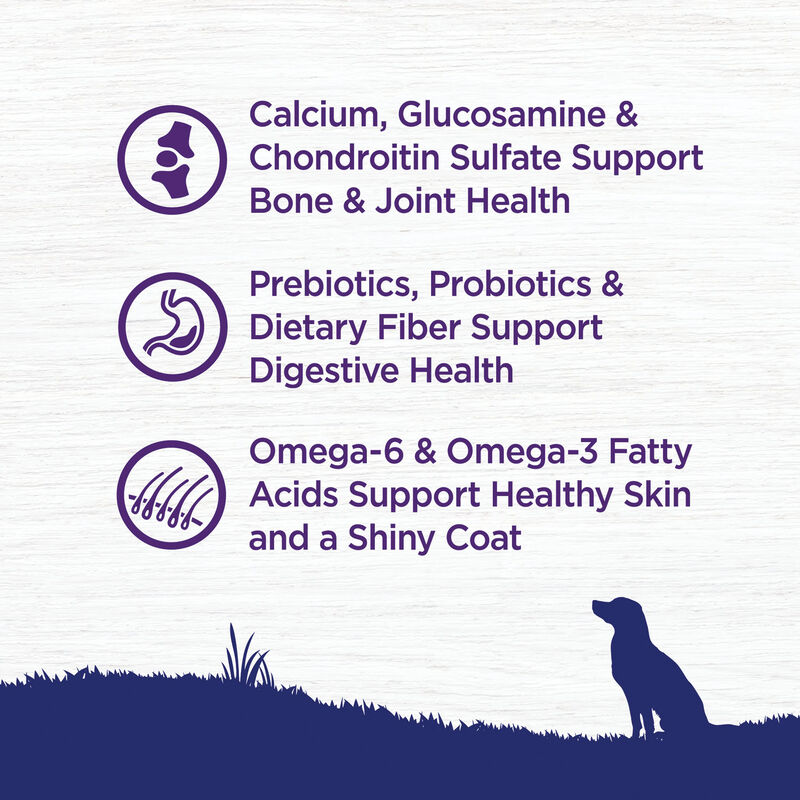 Wellness, Large Breed Complete Health, Deboned Chicken, Brown Rice - Dry Dog Food image number null