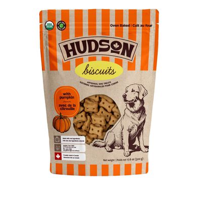 Hudson, Harvest Pumpkin - Dog Biscuit