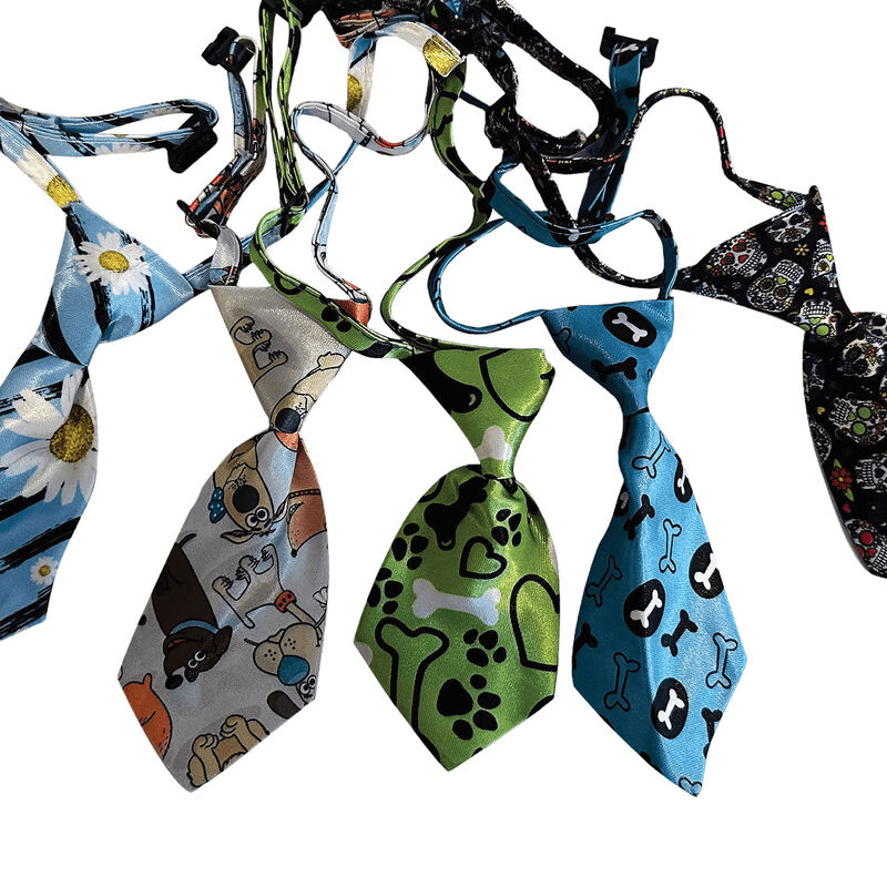 Cozymo Daily Neckties - Assorted 25 pcs image number null