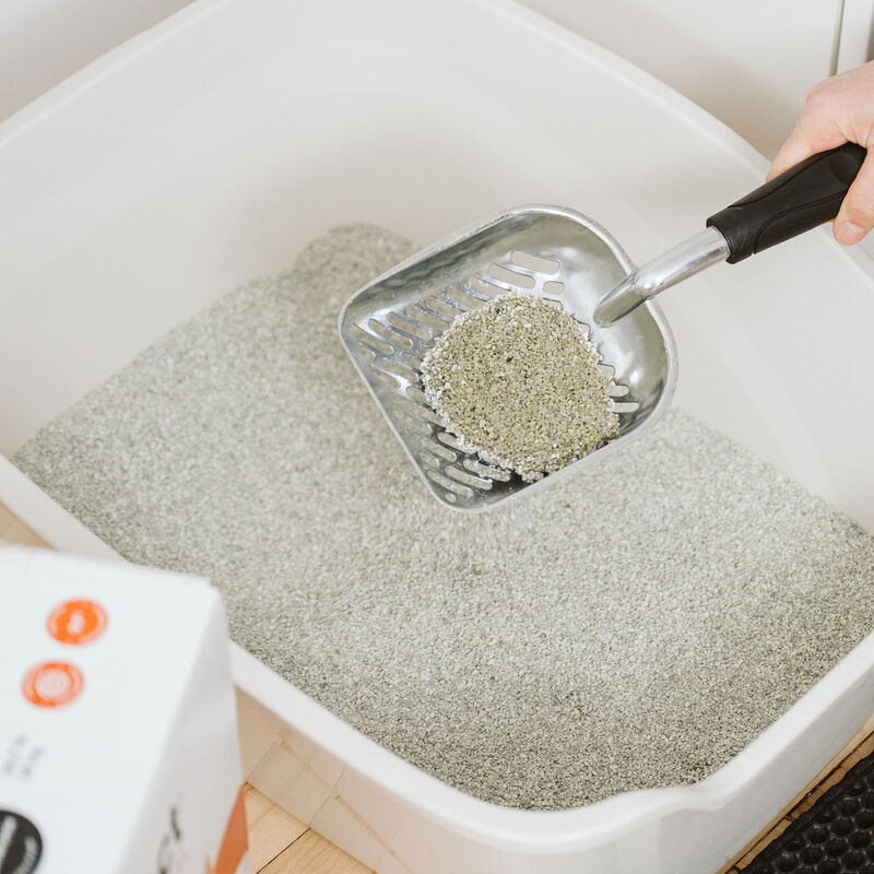 O'select, Clumping Clay Litter - 18 kg image number null