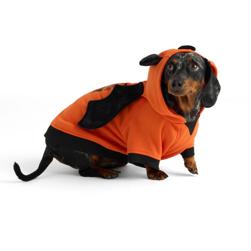 Just a Little Batty Fleece Hoodie for Dogs image number null