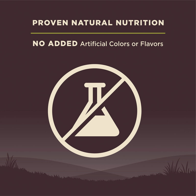 Wellness, Core, Grain Free Reduced Fat - Dry Dog Food image number null