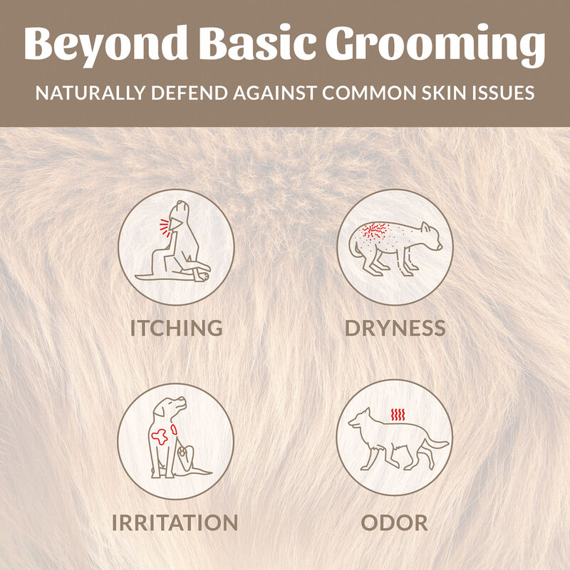 Skouts Honor, Probiotic Shampoo+Conditioner-DogoftheWoods-16oz image number null