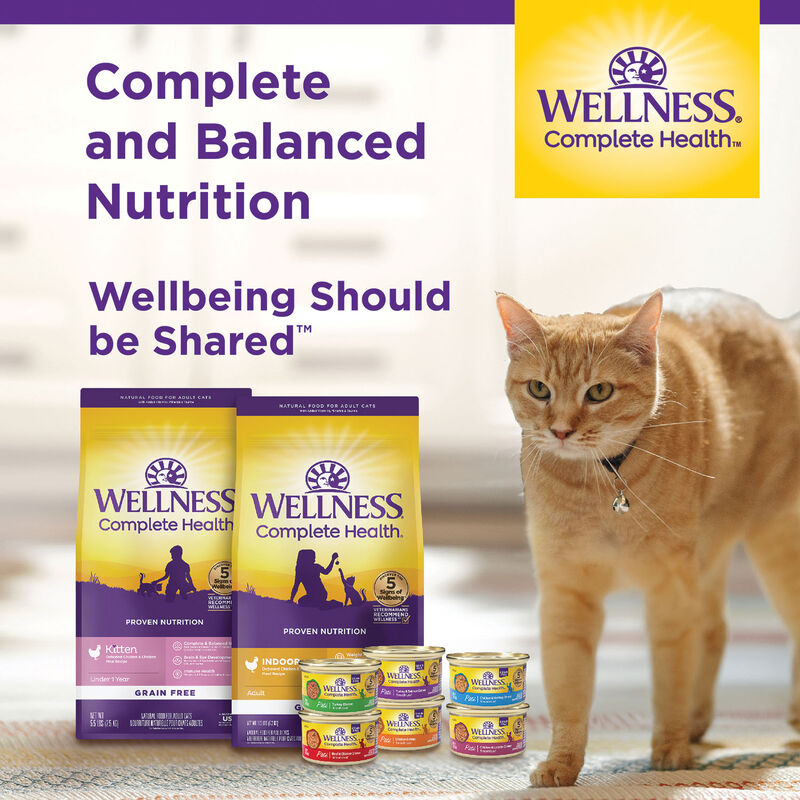 Wellness, Feline Adult - Grain Free -Complete Health - Indoor - Salmon & Herring Meal Recipe - Dry C image number null
