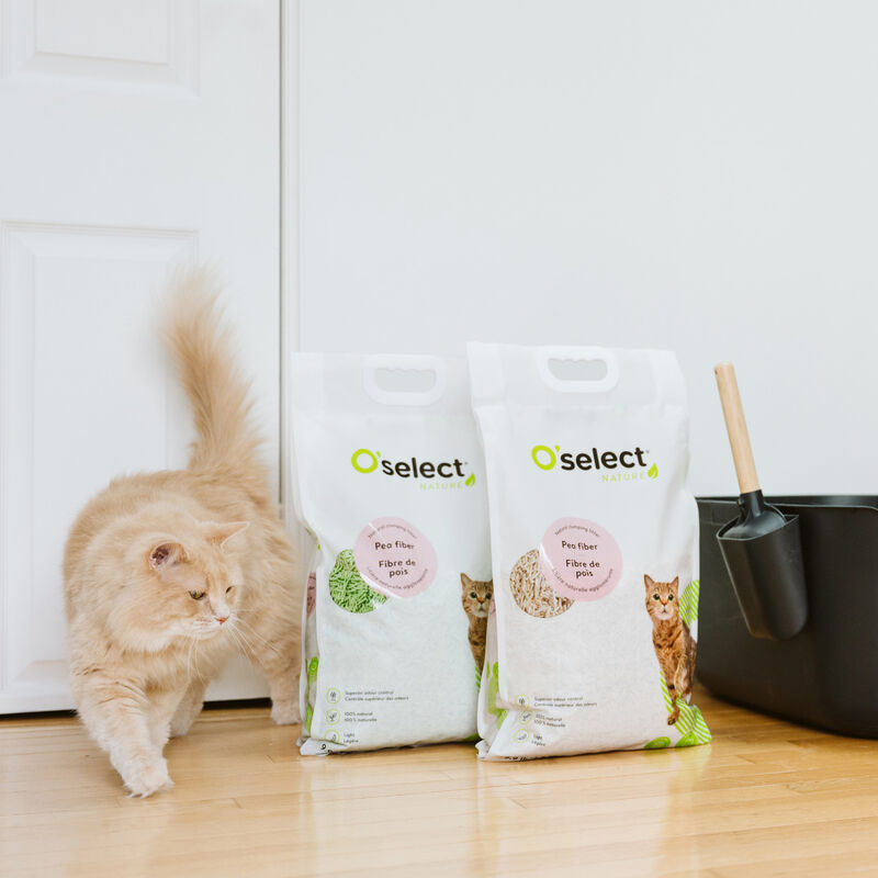 O'select, Pea Fiber Clumping Litter - Green Tea - 4.5 kg image number null