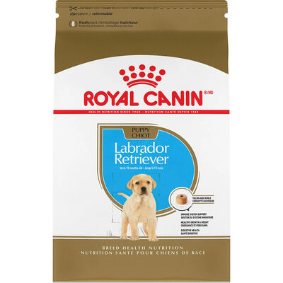 Royal Canin, Puppy - Breed Health Nutrition - Labrador Retriever
