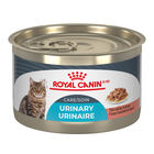 Royal Canin, Feline Care Nutrition - Urinary Care - Thin Slices in Gravy - 145 g - Wet Cat Food image number null