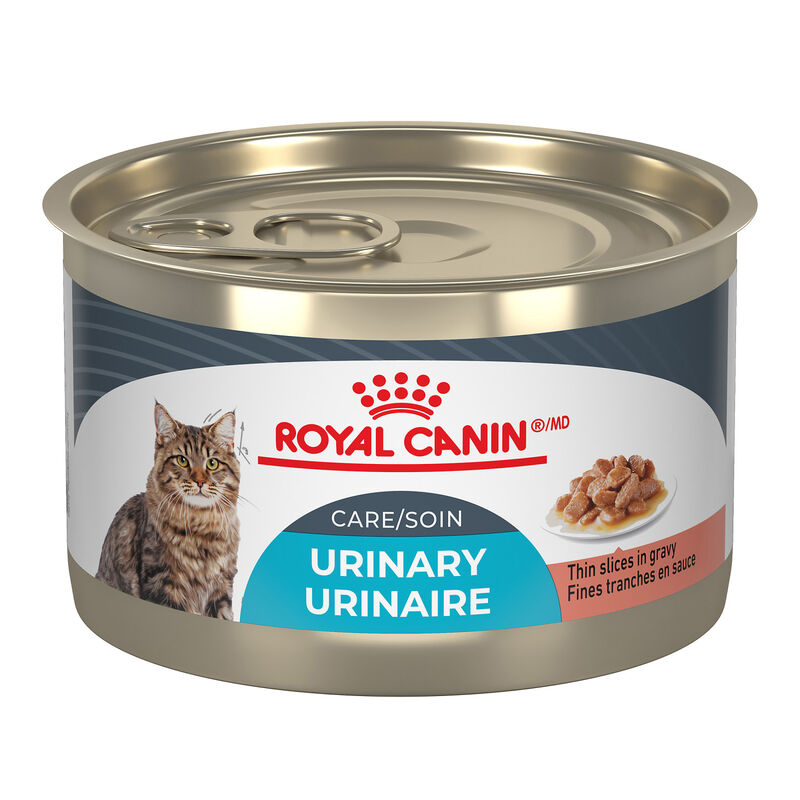 Royal Canin, Feline Care Nutrition - Urinary Care - Thin Slices in Gravy - 145 g - Wet Cat Food image number null
