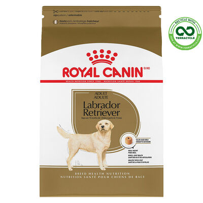 Royal Canin, Breed Health Nutrition Labrador Retriever Adult - Dry Dog Food