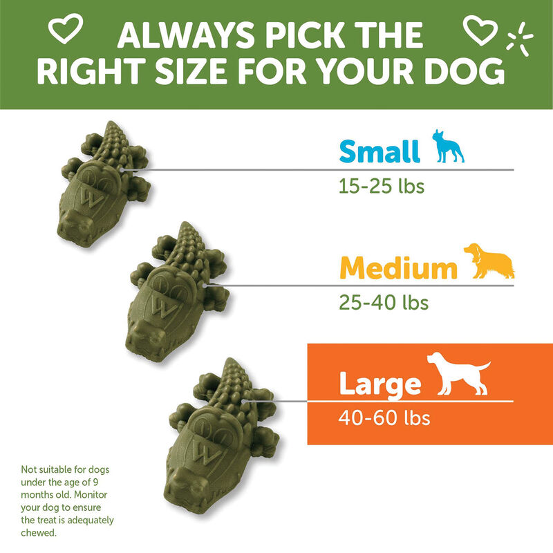 Whimzees, Dental Treat, Alligator Value Pouch - Large - 6 Pc image number null