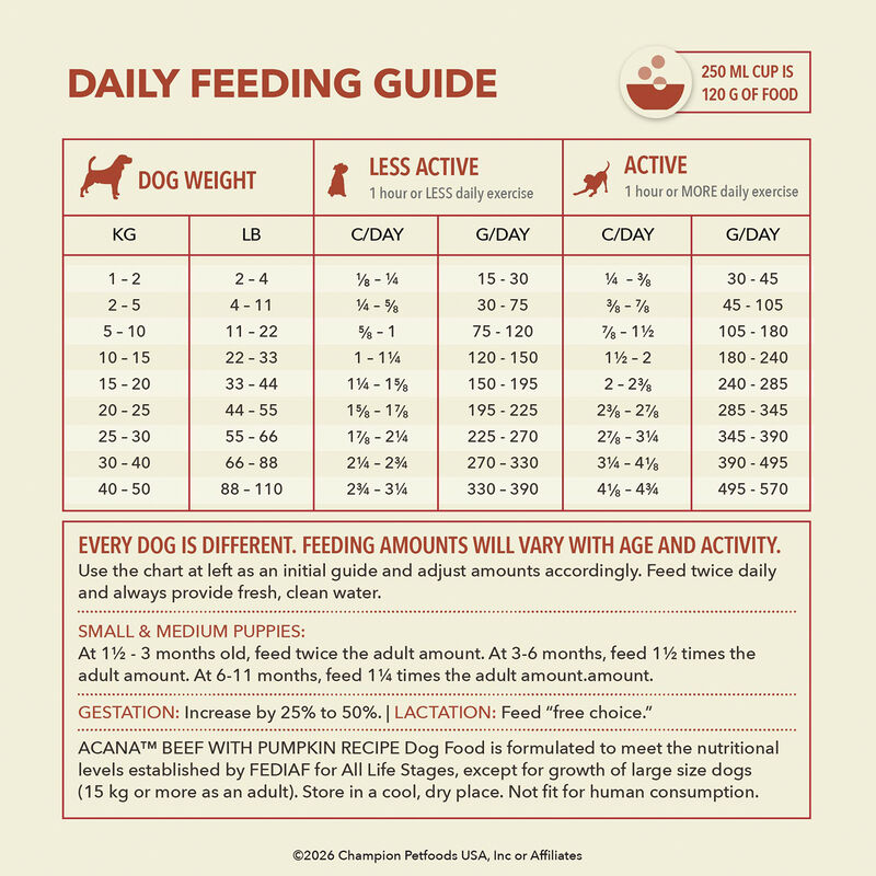 Acana, Limited Ingredient Diet, Beef with Pumpkin Recipe - Dry Dog Food image number null
