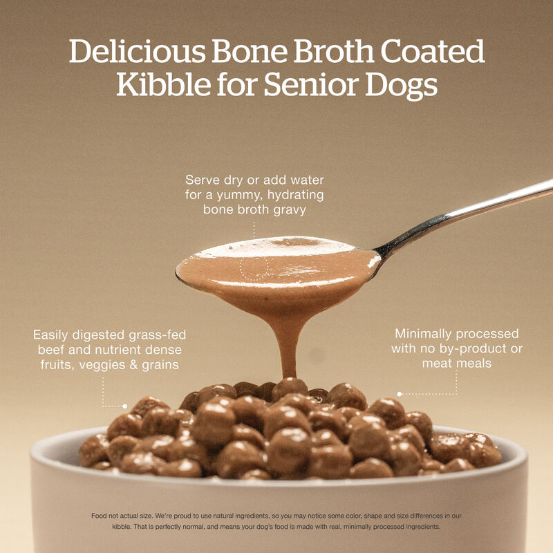 Good Gravy - Beef Coated in Bone Broth - Senior Dry Dog Food image number null