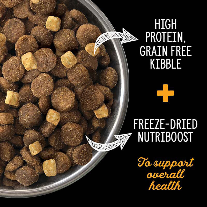 Nutrience, Adult Large Breed - SubZero Grain Free - Fraser Valley - 10 kg - Dry Dog Food image number null