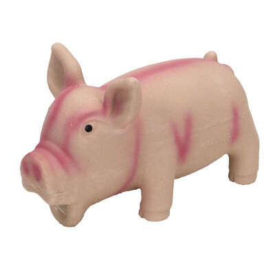Rascals, Latex Grunting Pig