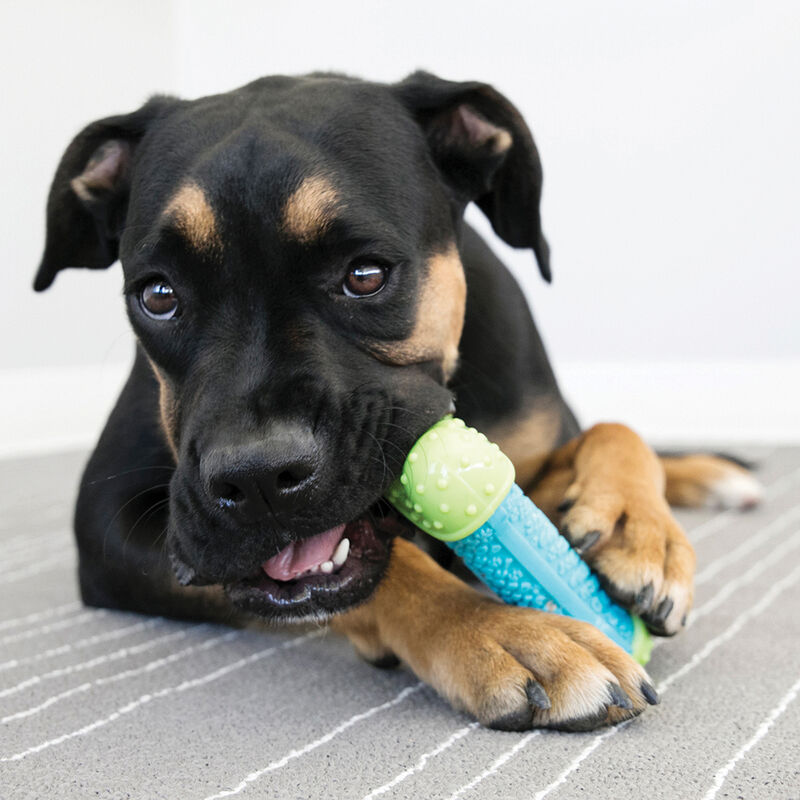 KONG, Core Strength Bone - Toss Dog Toy image number null