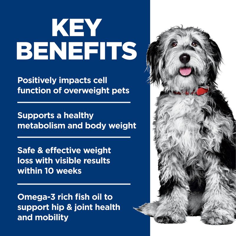 Science Diet, Adult Perfect Weight & Joint Support Chicken Recipe - Dry Dog Food image number null