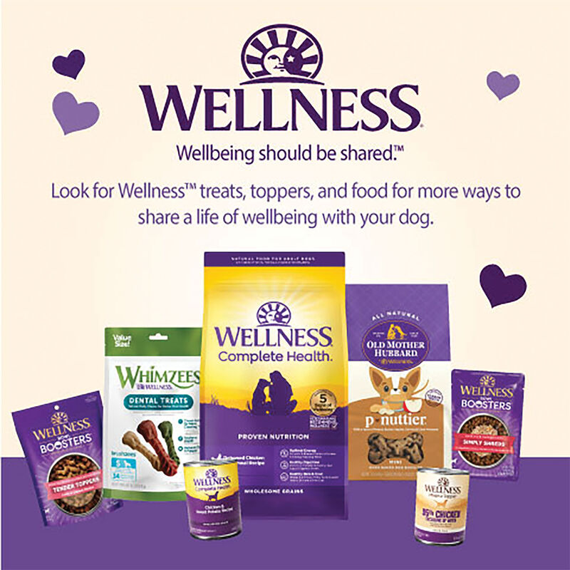 Wellness, Core - Tiny Tasters GF Treats - Lamb & Apple - 170 g - Dog Treat image number null