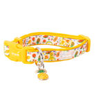 Mini Brigade Mini Neoprene Dog Collar with Charm - Tutti Frutti image number null