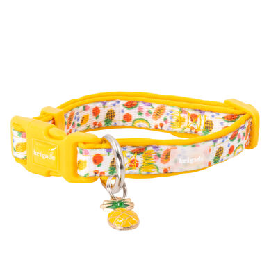 Mini Brigade Mini Neoprene Dog Collar with Charm - Tutti Frutti