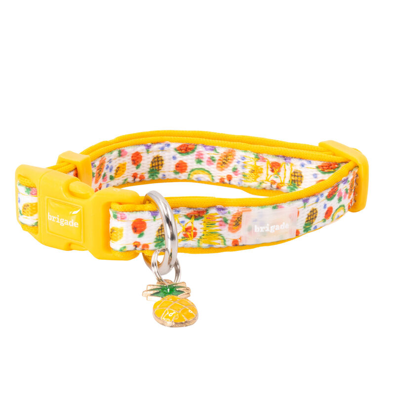 Mini Brigade Mini Neoprene Dog Collar with Charm - Tutti Frutti image number null
