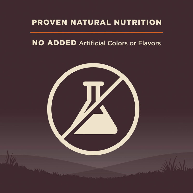 Wellness, Core, Grain Free Original - Dry Dog Food image number null
