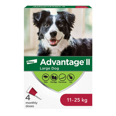 Advantage II, Large Dog Flea Treatment & Protection, 11-25kg