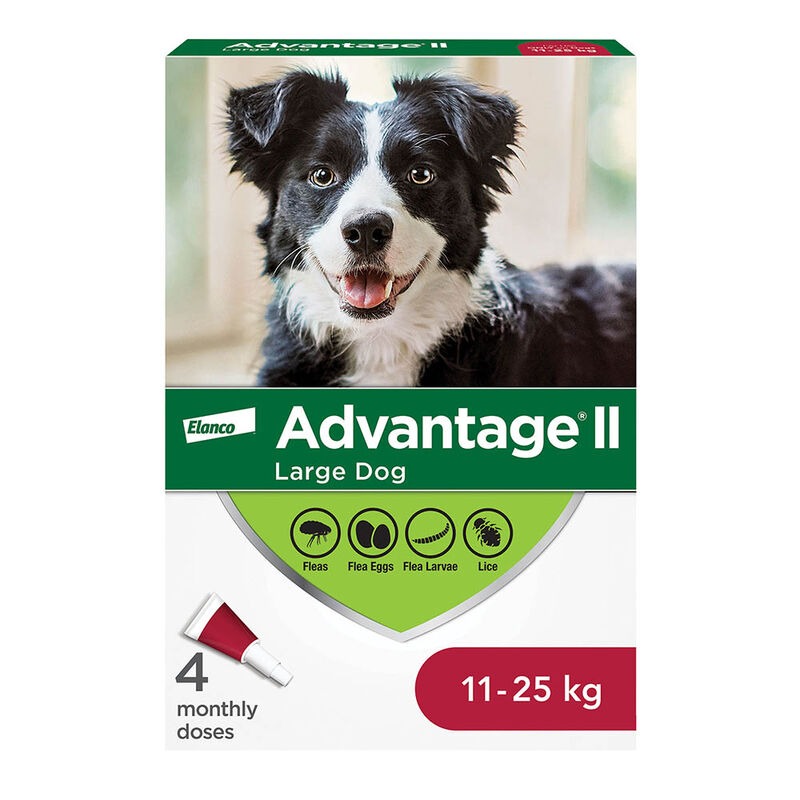 Advantage II, Large Dog Flea Treatment & Protection, 11-25kg image number null