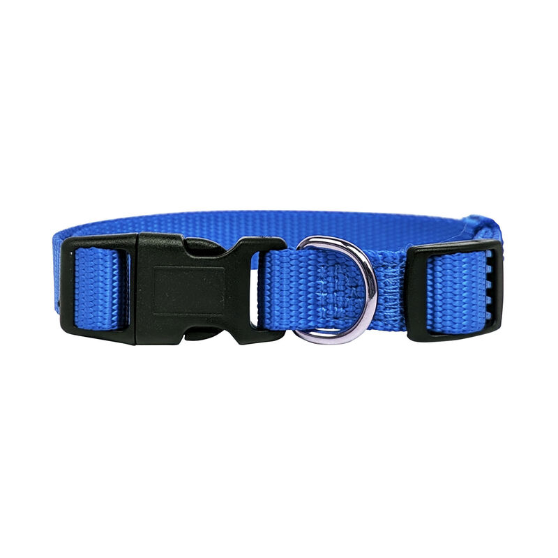 Brigade, Nylon Dog Collar - Blue image number null