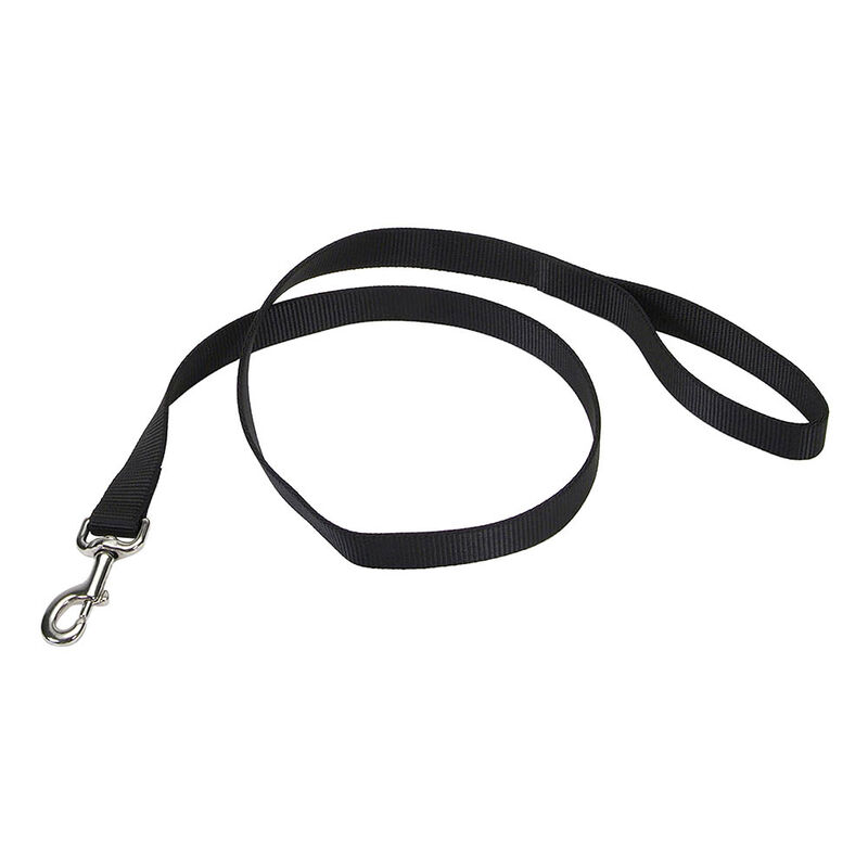 Single-Ply Dog Leash, Black, Small - 5/8" x 6' image number null