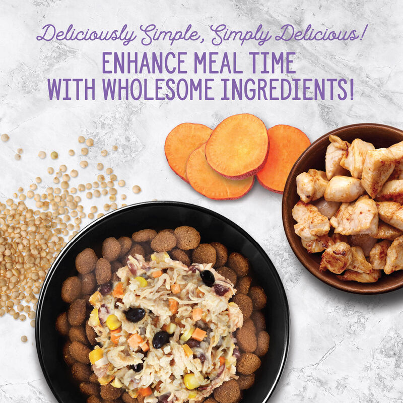 Nutrience, Homestyle Topper Chicken Quinoa Bowl &ndash; Dog Wet Food image number null