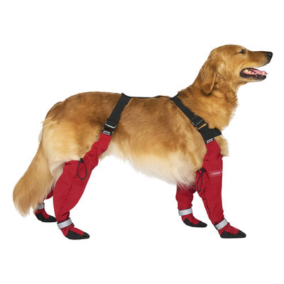 Canada Pooch, Suspender Boots - Red - Short