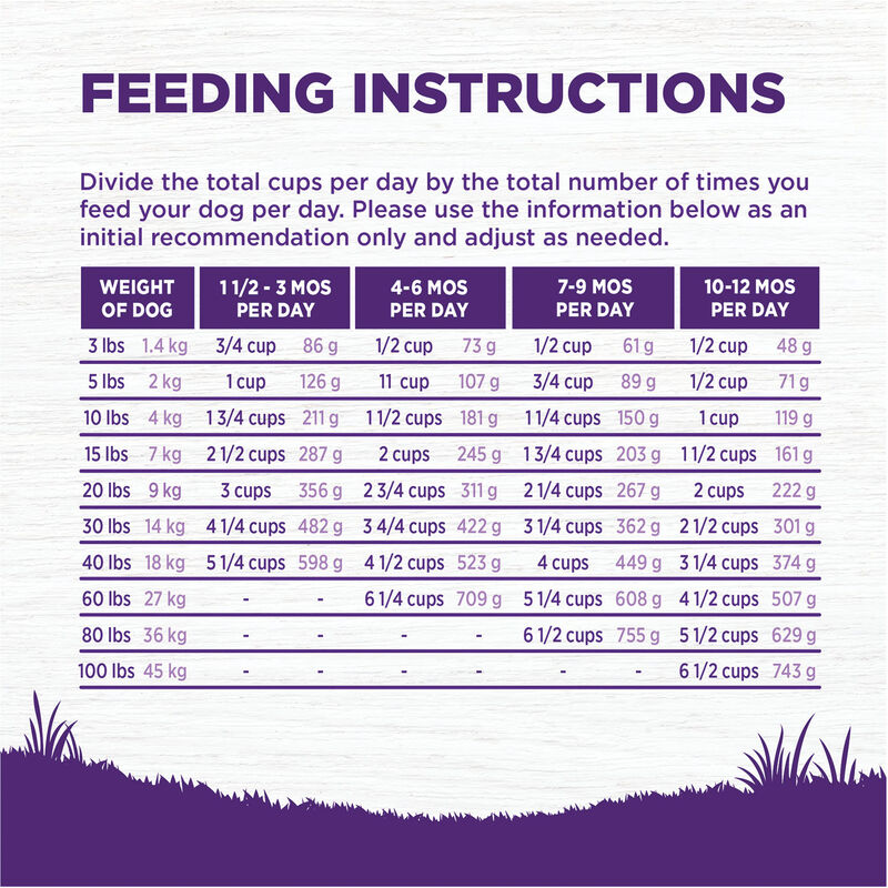 Wellness, Puppy Complete Health - Deboned Chicken, Oatmeal & Salmon Meal - 11.8 kg - Dry Dog Food image number null