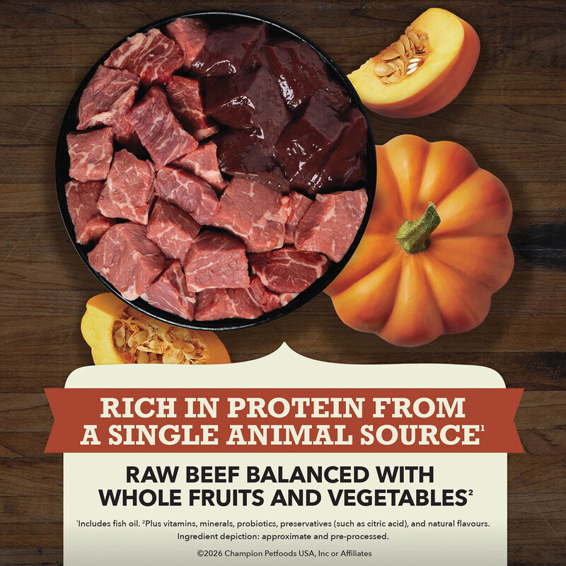 Acana, Limited Ingredient Diet, Beef with Pumpkin Recipe - Dry Dog Food image number null
