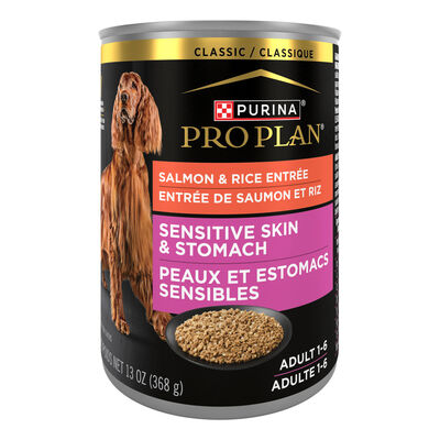 Pro Plan, Adult Sensitive Skin & Stomach - Salomn & Rice - 385 g - Wet Dog Food