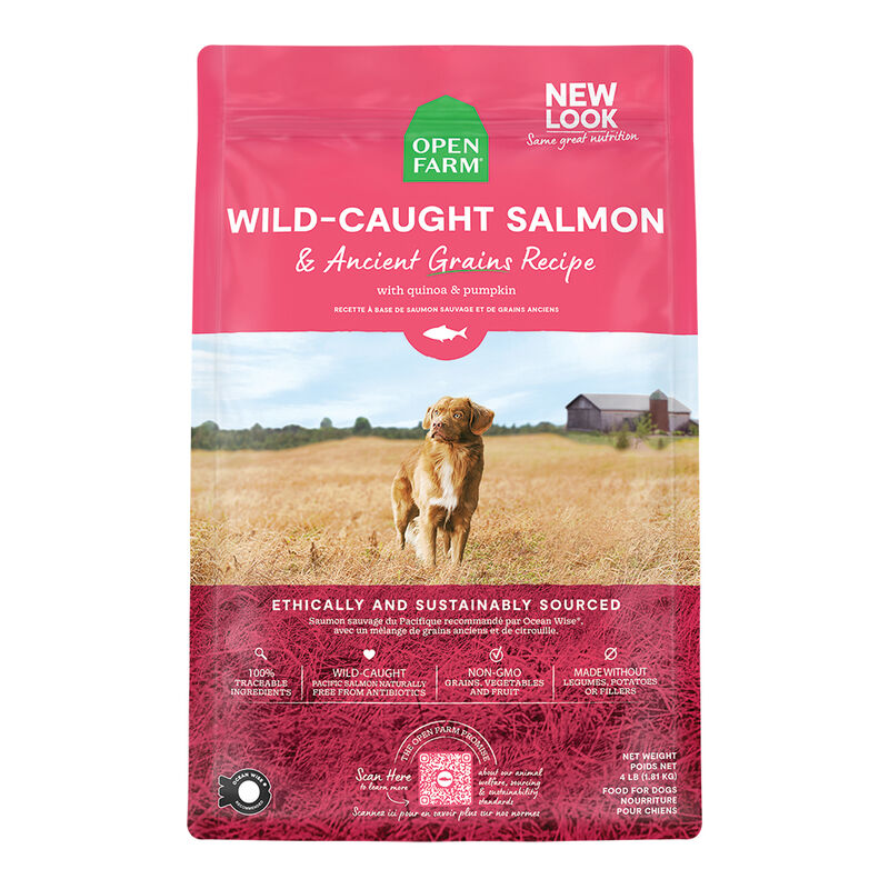 Open Farm, Wild Salmon & Ancient Grains Adult Dog Dry Food - Dry Dog Food image number null