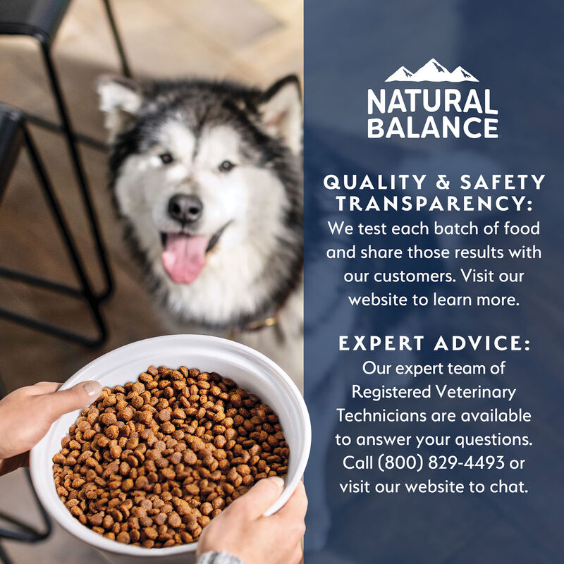 Natural Balance, Health Protection Puppy - Real Chicken, Brown Rice & Pumpkin Recipe - Dry Puppy Foo image number null