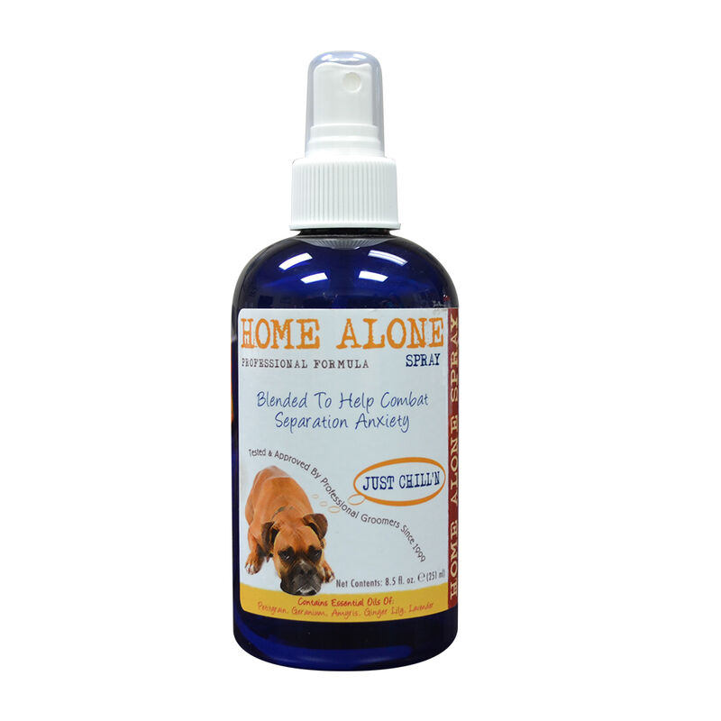 Home Alone Spray image number null