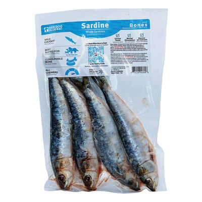 Red Dog Blue Kat, Whole Sardines Frozen Bone - Frozen Dog Food