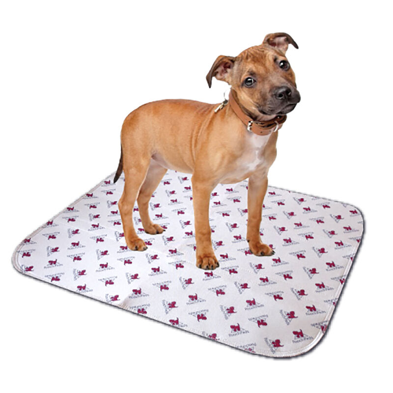 Pooch Pad, PoochPad for Senior Dogs - Medium - 20x27" image number null