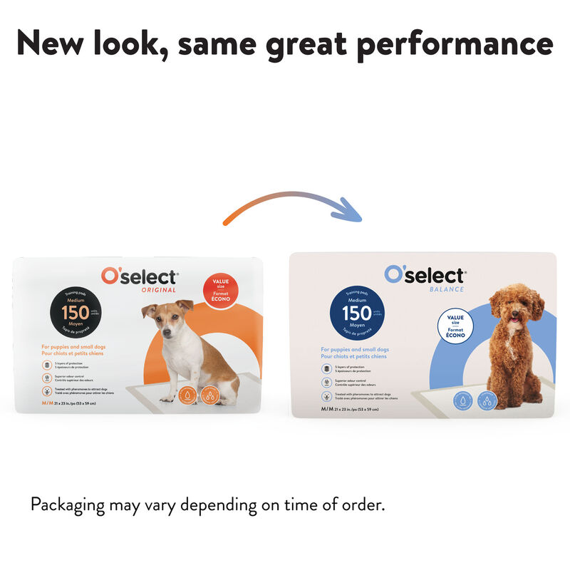 O'select, Training Pads Small Dogs and Puppies image number null
