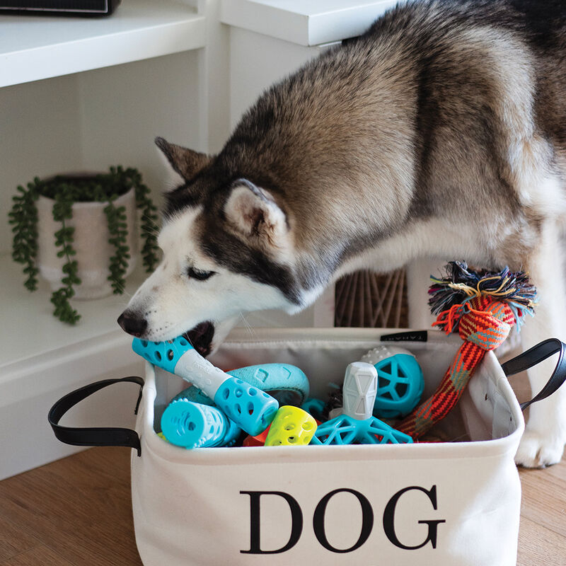 Messy Mutts, Totally Pooched Toss 'n Stuff Hourglass - Teal  image number null