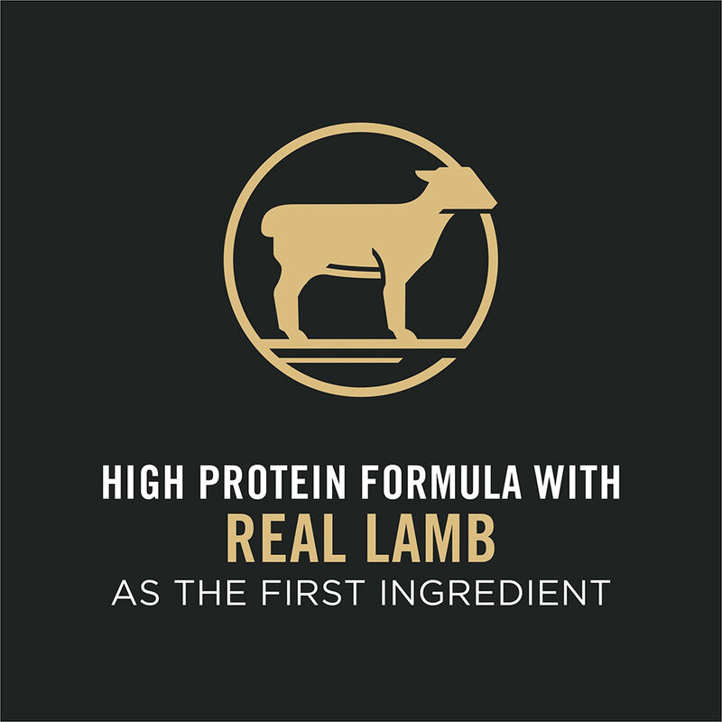 Purina Pro Plan Sport Small Bites 27/17, All Ages, Lamb & Rice Dry Dog Food image number null