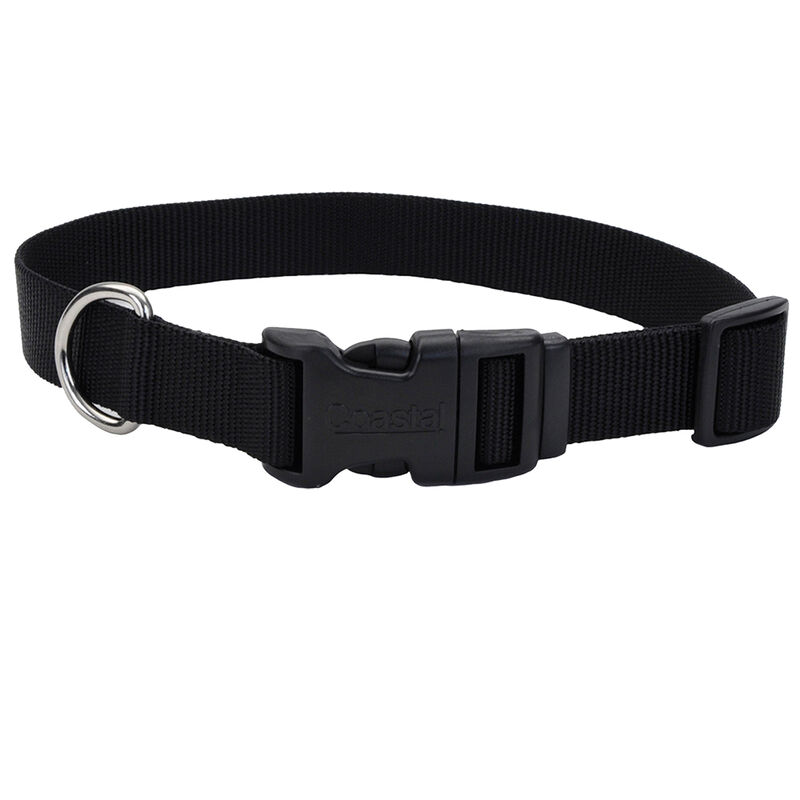 Adjustable Dog Collar with Plastic Buckle, Black, Extra Small - 3/8" x 8"-12" image number null