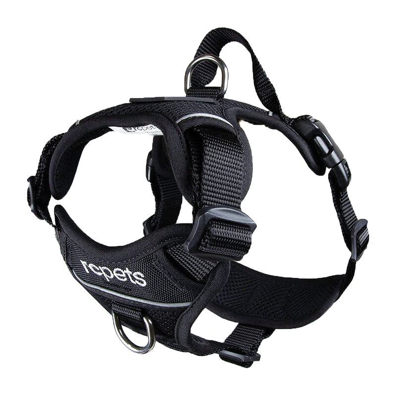 RC Pets, Harness - Momentum - Black - Dog Harness image number null