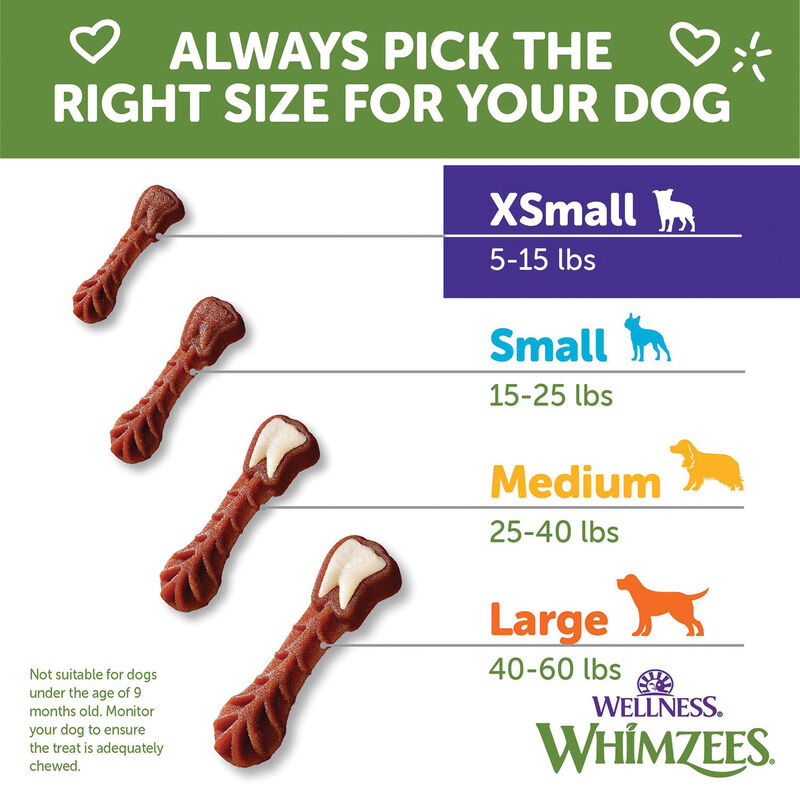 Whimzees, Dental Treat, Toothbrush Star Pouch - XS - 48 Pc image number null