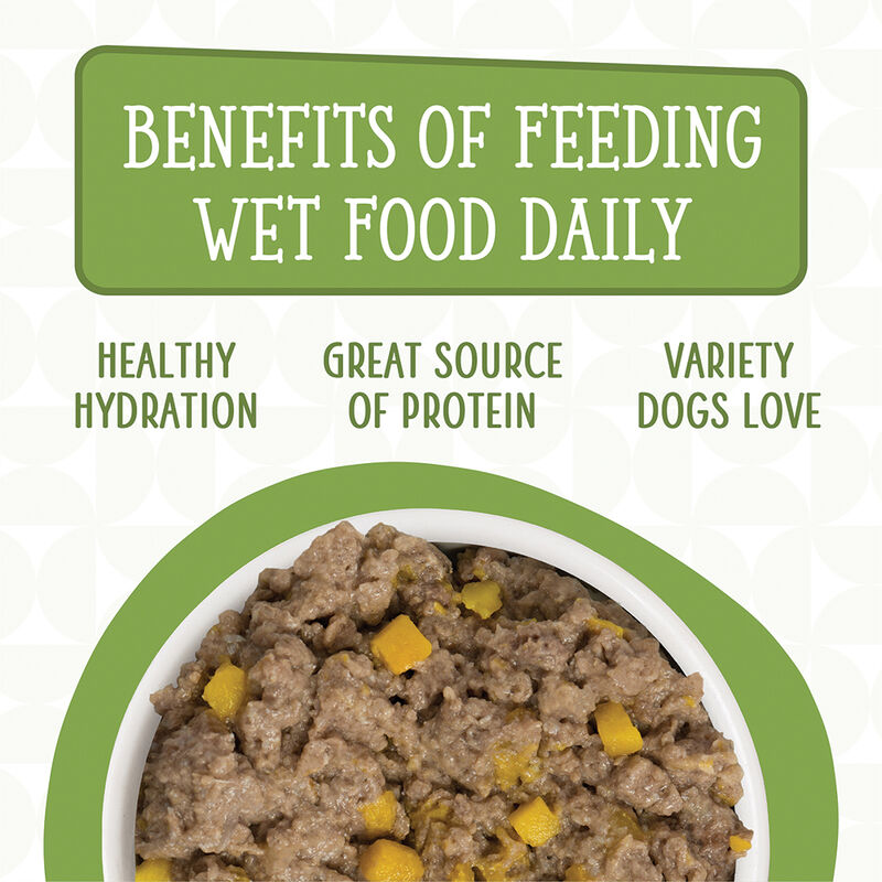 Weruva, Can, Adult - Lamburgini - 285 g - Minced - Wet Dog Food image number null