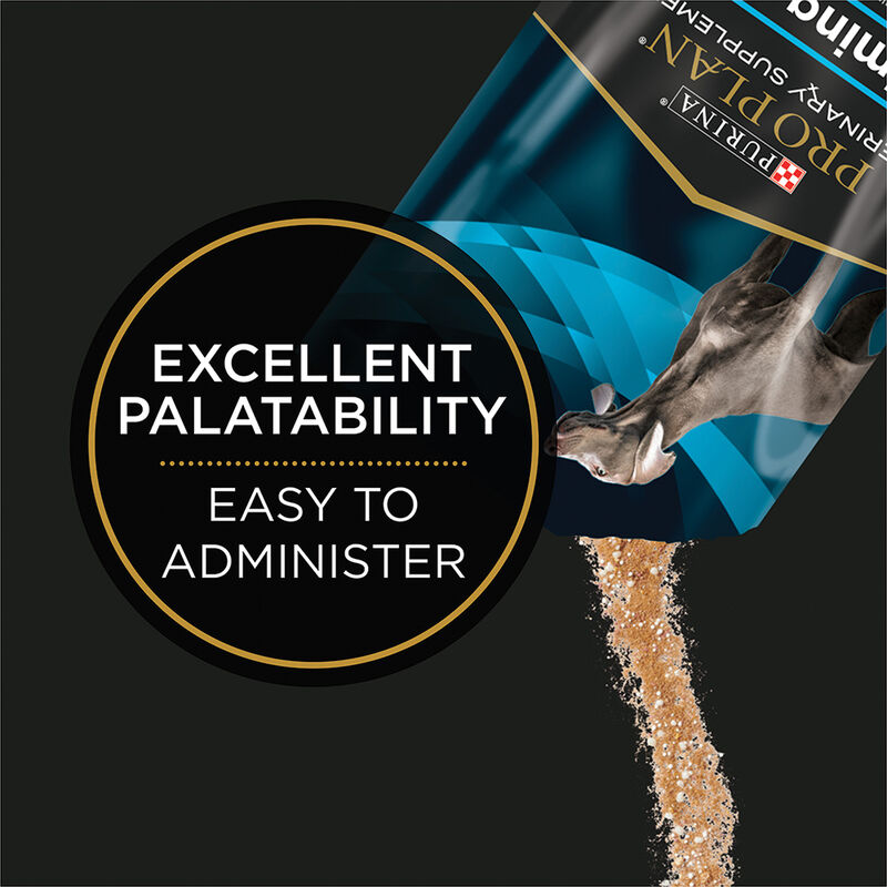 Pro Plan, Canine - Veterinary Supplements - Calming Care - 30 x 1g sachets image number null