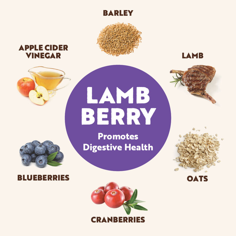 Northern Biscuit, Wheat Free Lamb Berry - 1.36 kg - Dog Biscuit image number null