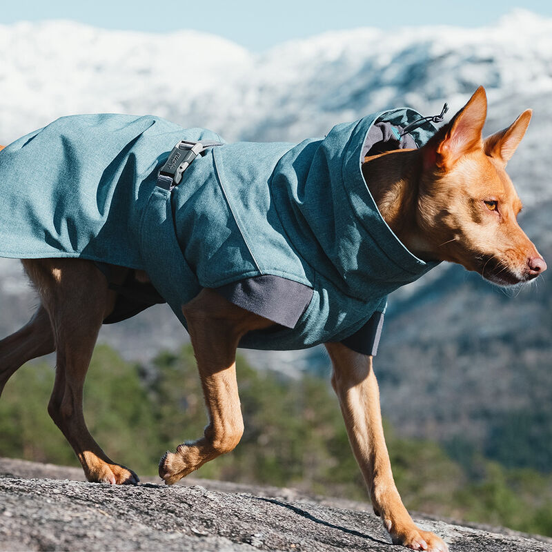 Hurtta, Expedition Parka - Bilberry image number null